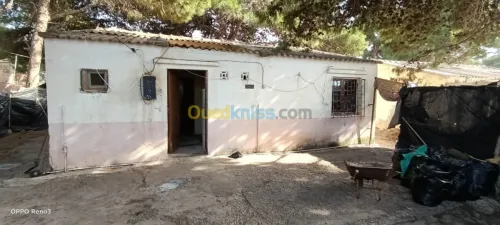 Location vacances Bungalow Chlef Beni haoua