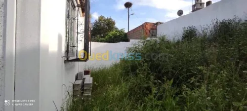 Vente Appartement El taref El taref