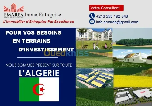 Vente Terrain Alger Alger centre