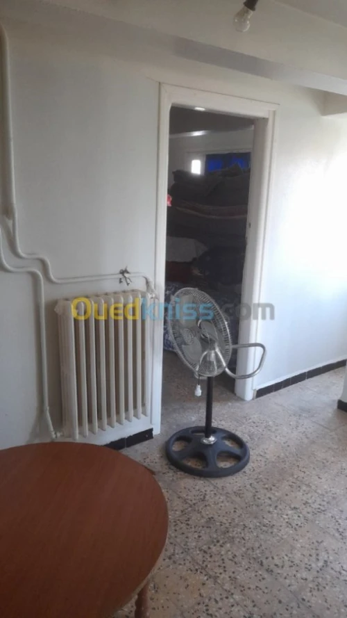 Vente Niveau De Villa F3 Khenchela Khenchela