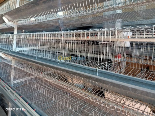 باتري دجاج  4800