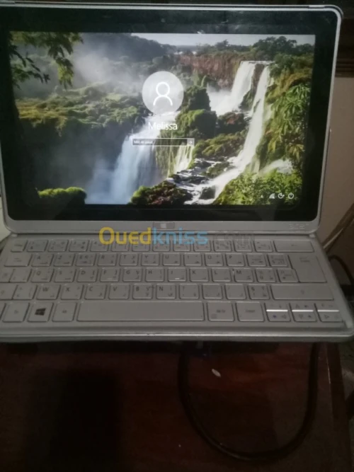 Acer