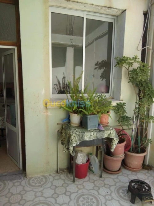 Vente Villa Sidi Bel Abbès Sidi bel abbes