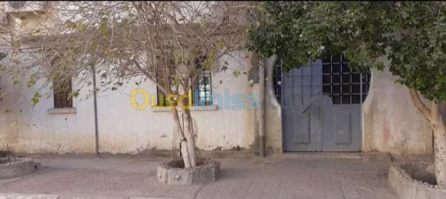 Vente Appartement F3 Biskra Biskra