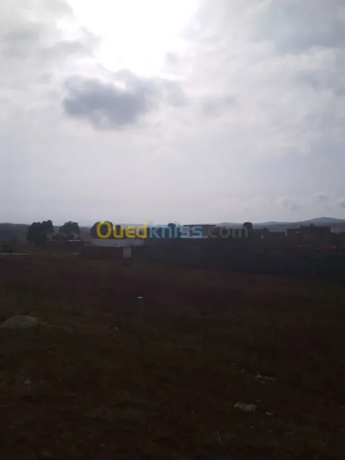 Vente Villa Tlemcen Marsa ben mhidi