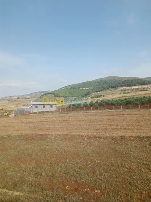 Vente Villa Tlemcen Marsa ben mhidi