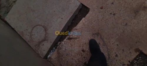 Location Local Boumerdes Hammedi