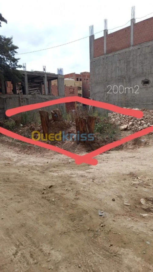 Vente Terrain Boumerdes Hammedi