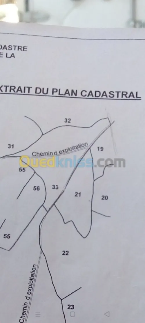 Vente Terrain Setif Guidjel
