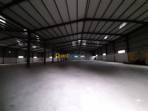 Location Hangar Oran Oued tlelat