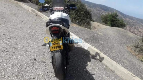 Triumph Triumph 1050 Tiger 2007