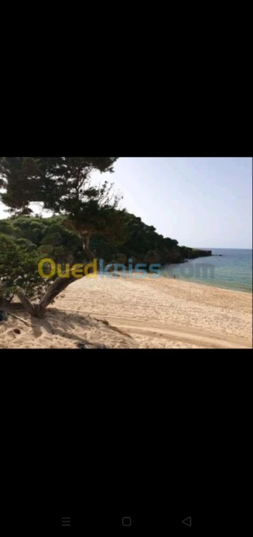 Location vacances Villa El taref El kala