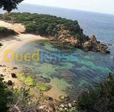 Location vacances Villa El taref El kala