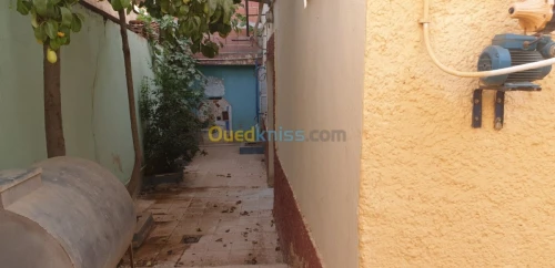 Vente bien immobilier Tiaret Dahmouni