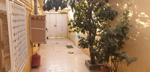 Vente bien immobilier Tiaret Dahmouni