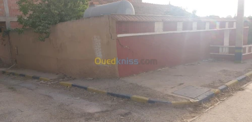 Vente bien immobilier Tiaret Dahmouni