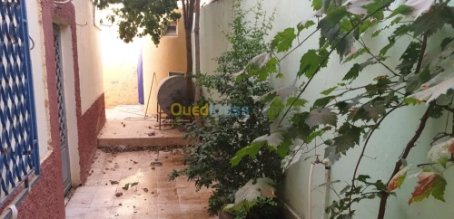 Vente bien immobilier Tiaret Dahmouni