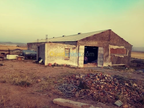 Vente bien immobilier Batna Timgad