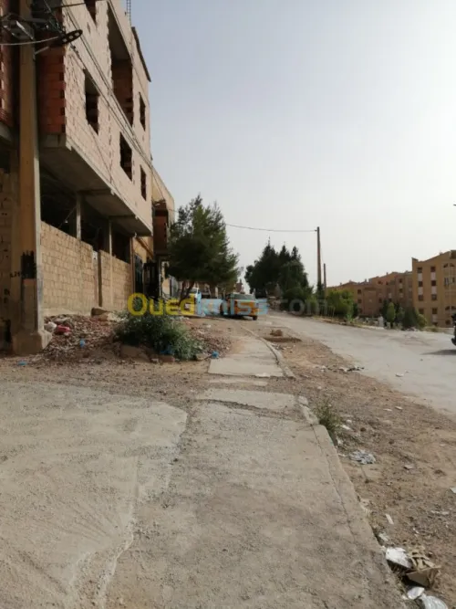 Vente Carcasse Djelfa Djelfa