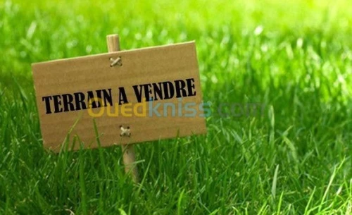 Vente Terrain Agricole Tissemsilt Tissemsilt