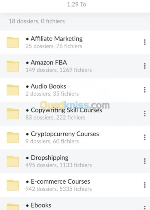 cours e-commerce dropshipping