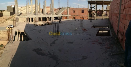 Vente Carcasse Djelfa Djelfa