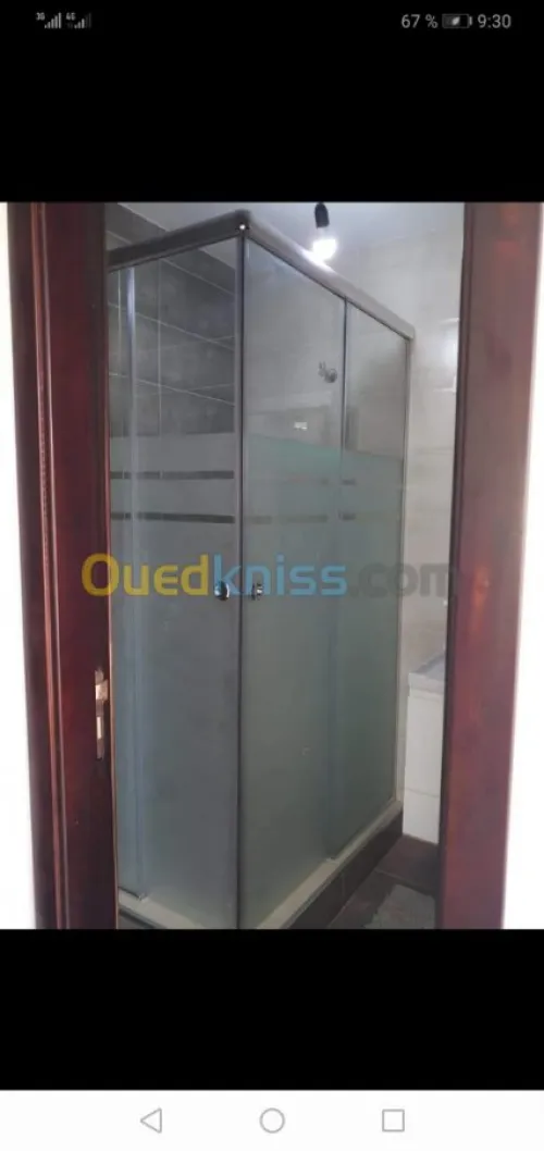 vitrine et douche italienne 
