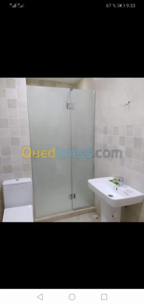 vitrine et douche italienne 