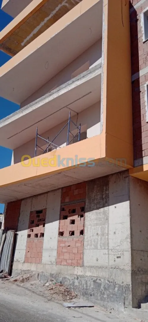 Revêtement de façades en Aquapanel / Plaques de plâtre et faux plafond démontable