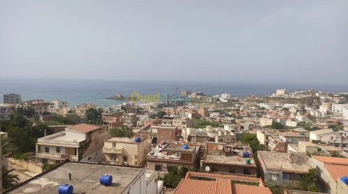 Location Appartement El taref El kala