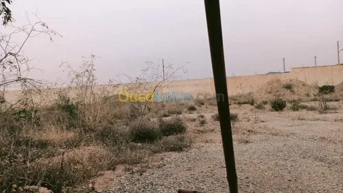 Location Terrain Mostaganem Fornaka