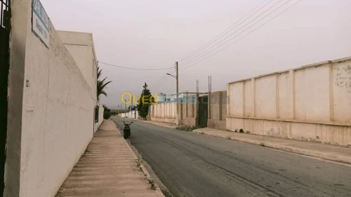 Location Terrain Mostaganem Fornaka