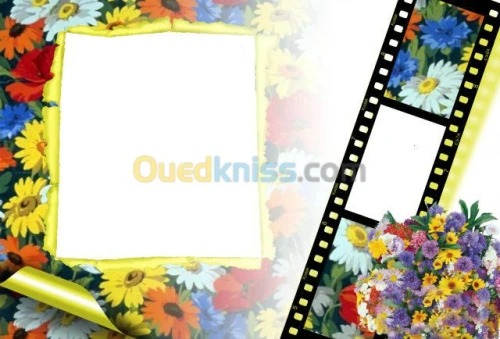 Reportage Photos Vidéo DJ  