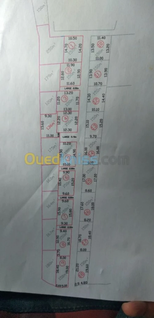 Vente Terrain Alger Draria