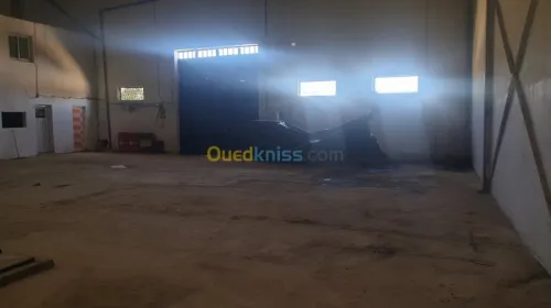 Vente Hangar Mascara Mohammadia