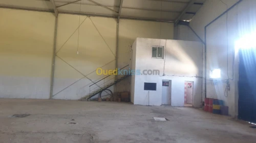 Vente Hangar Mascara Mohammadia