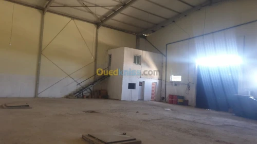 Vente Hangar Mascara Mohammadia
