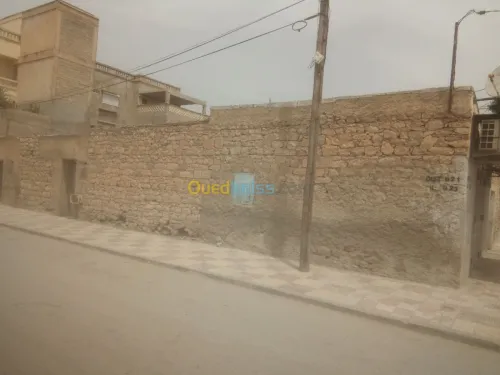Vente Terrain Constantine Ain abid