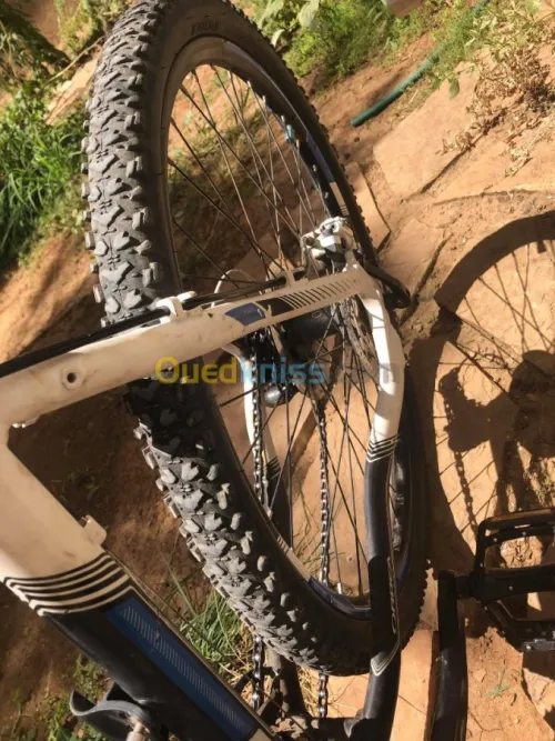 VELO VTT ORBEA