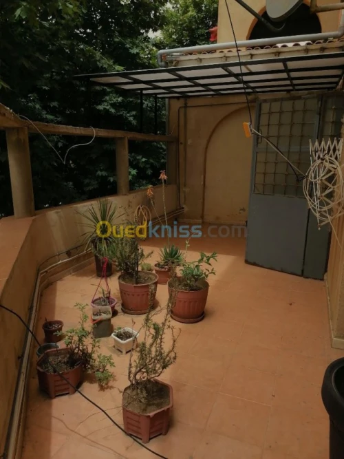 Vente Appartement F5 Tiaret Tiaret