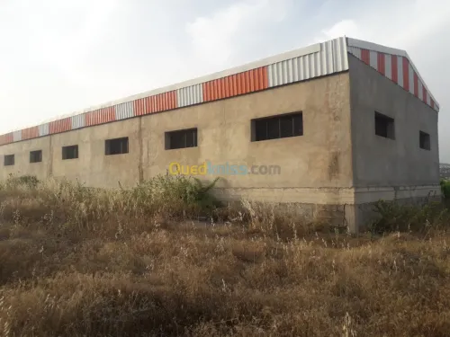 Location Hangar Constantine Constantine