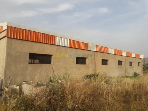 Location Hangar Constantine Constantine