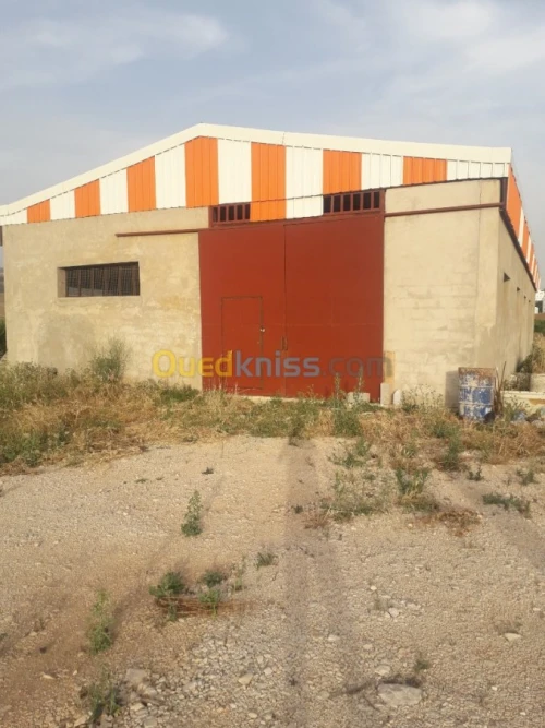 Location Hangar Constantine Constantine