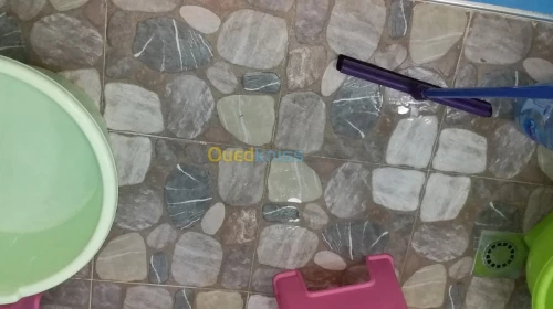 Vente Appartement F4 Tlemcen Mansourah