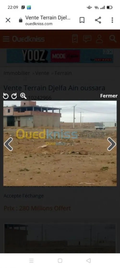 Vente Terrain Djelfa Ain oussara