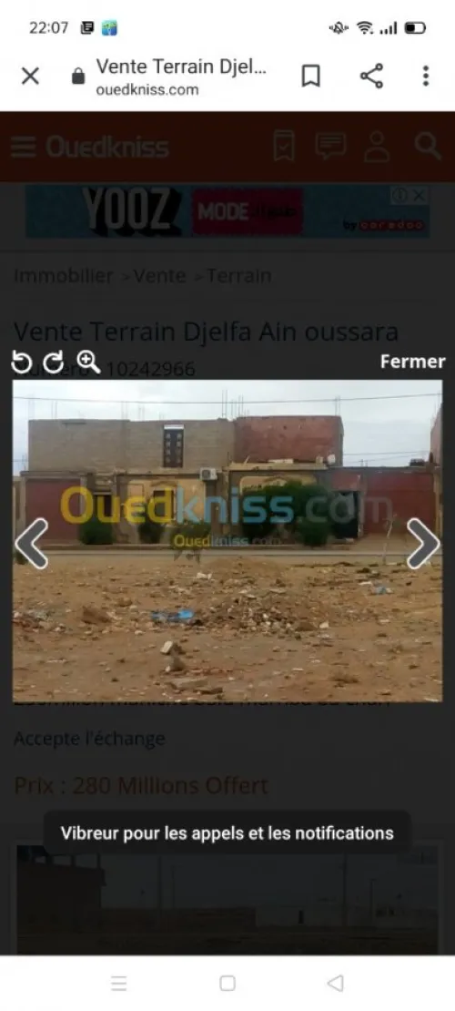 Vente Terrain Djelfa Ain oussara