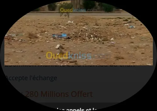 Vente Terrain Djelfa Ain oussara