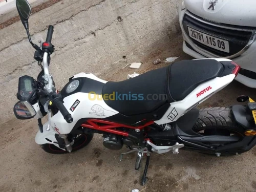 Benelli 135 tnt
