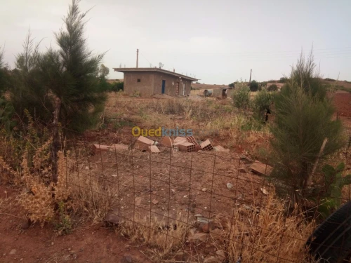 Vente Terrain Chlef El karimia