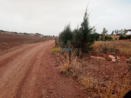 Vente Terrain Chlef El karimia